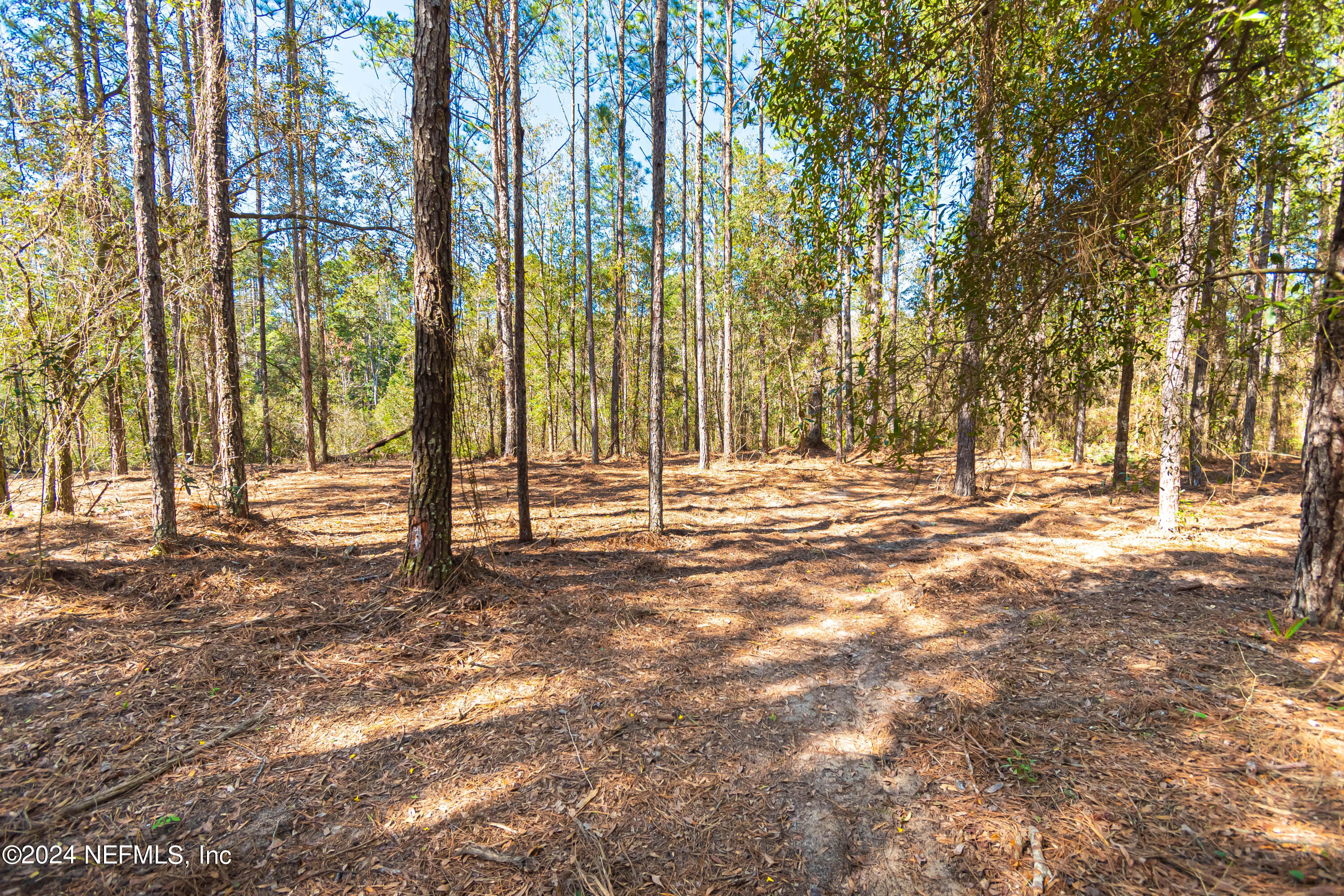 Lot 9 Steel Bridge Road Macclenny, FL 32063 - Photo 4 of 5 untitled-3611