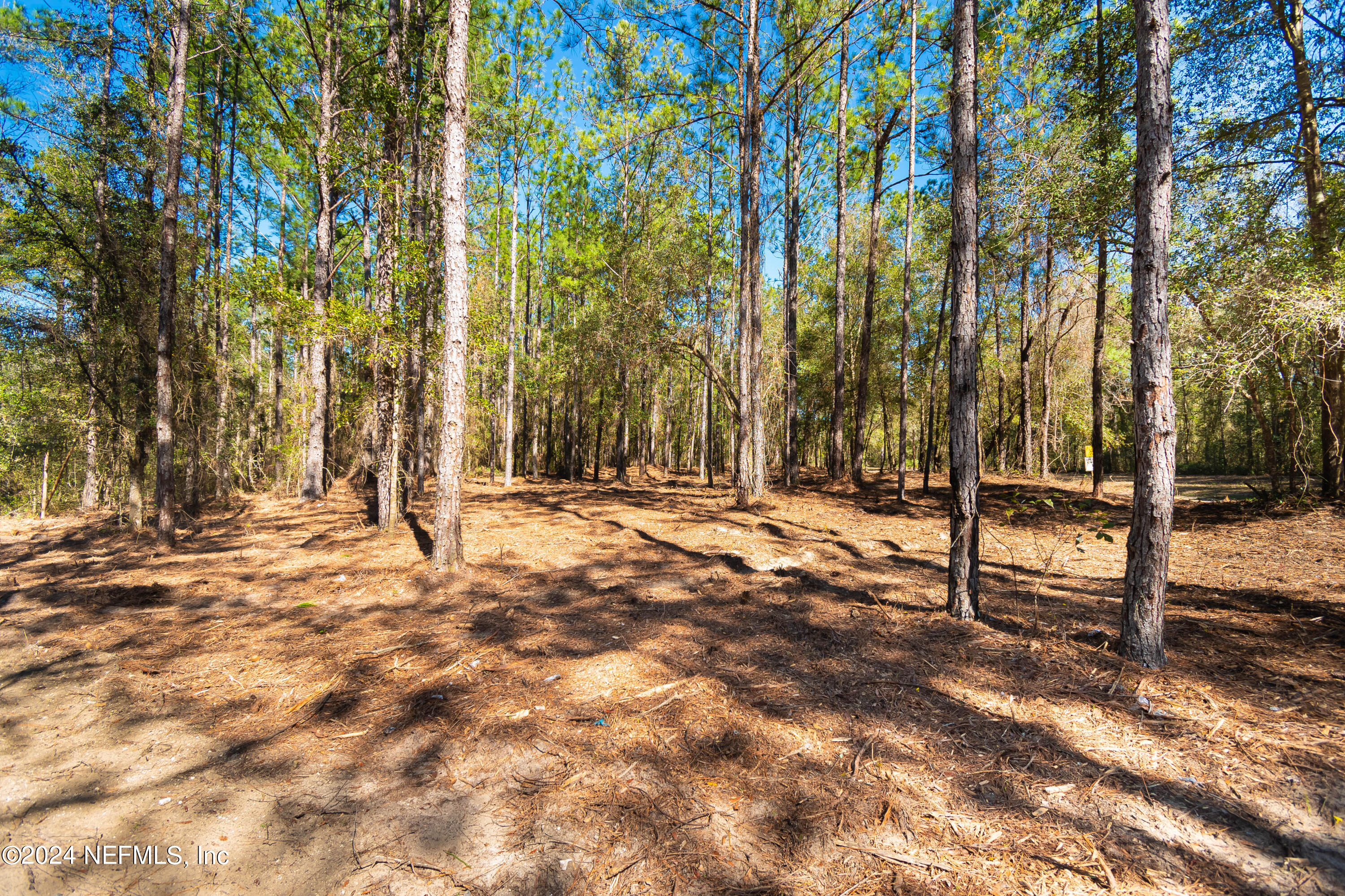 Lot 9 Steel Bridge Road Macclenny, FL 32063 - Photo 5 of 5 untitled-3617