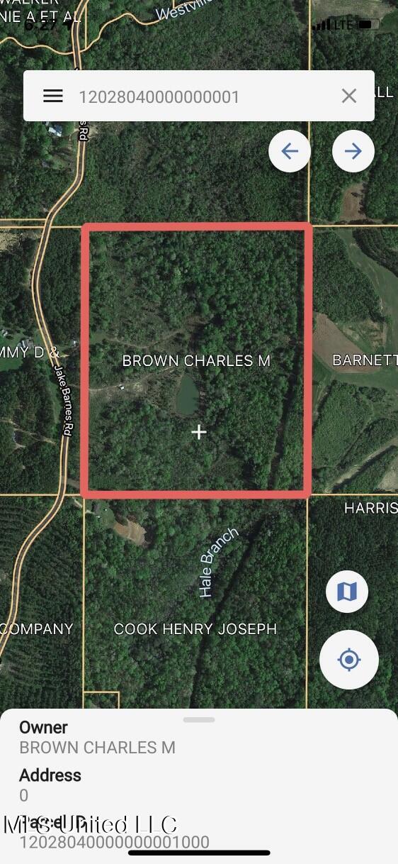 Jake Barnes Road Mendenhall, MS 39114 - Photo 1 of 6 Lot Lines