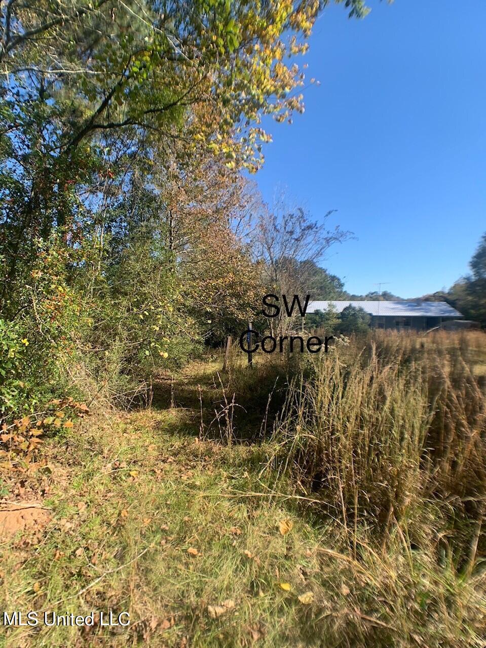Jake Barnes Road Mendenhall, MS 39114 - Photo 2 of 6 swcorner