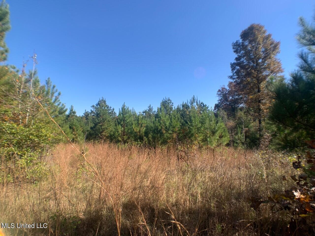 Jake Barnes Road Mendenhall, MS 39114 - Photo 3 of 6 thumbnail_IMG_3273