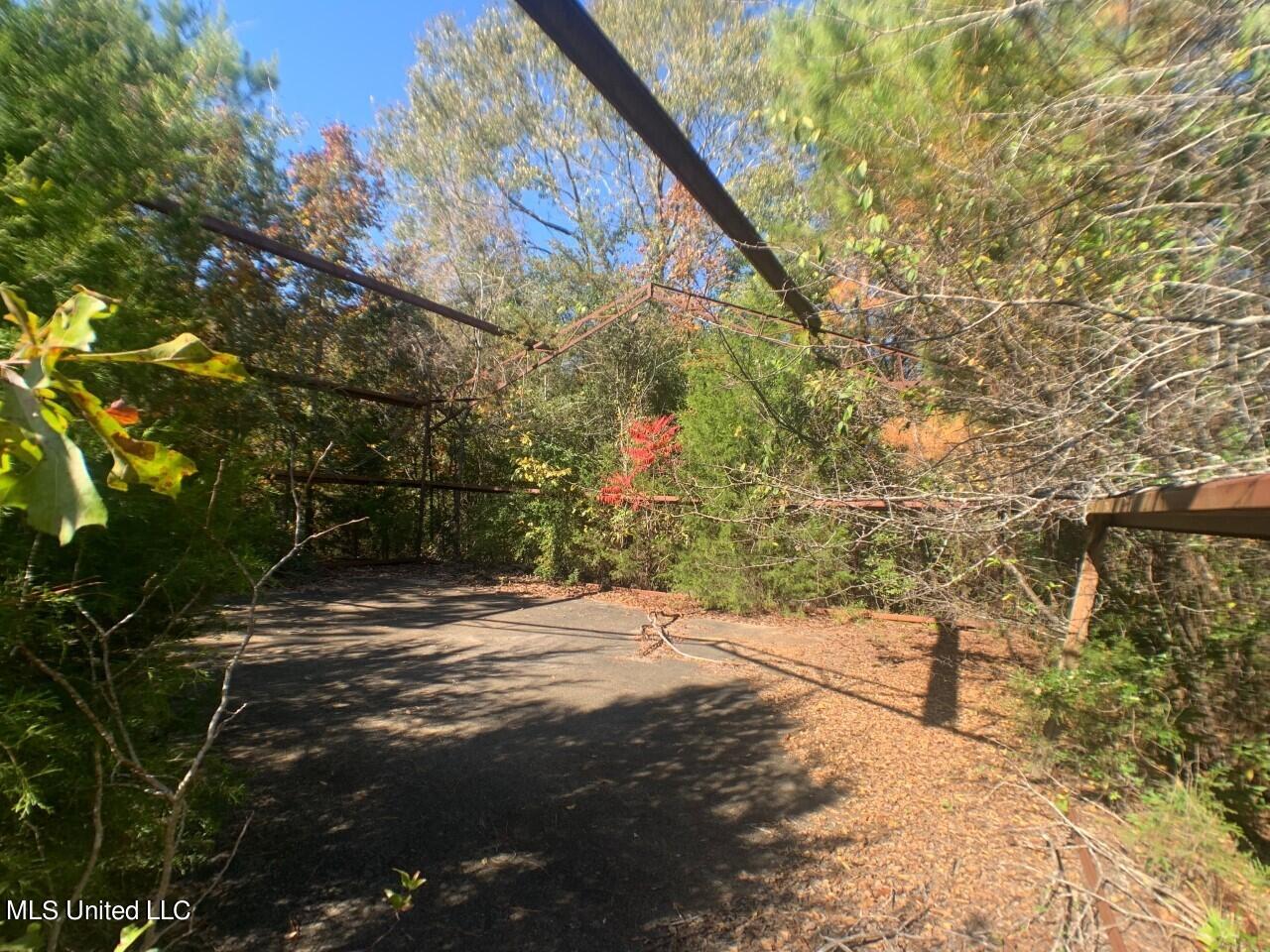 Jake Barnes Road Mendenhall, MS 39114 - Photo 5 of 6 thumbnail_IMG_3277