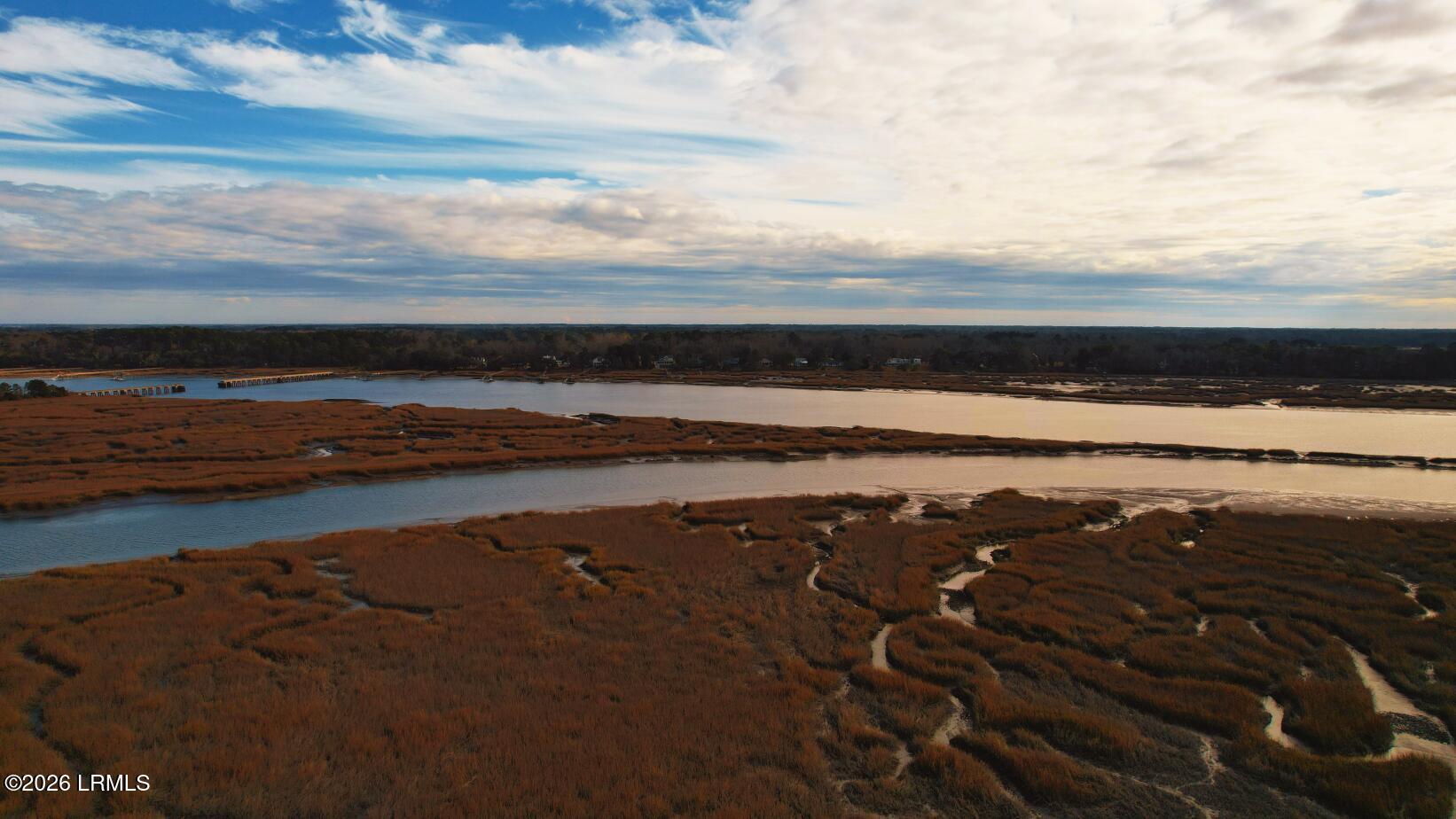 481 Paige Point Bluff Seabrook, SC 29940 - Photo 8 of 19 PPB_Marsh
