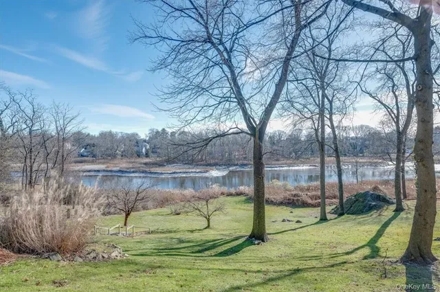 a view of a park with large trees