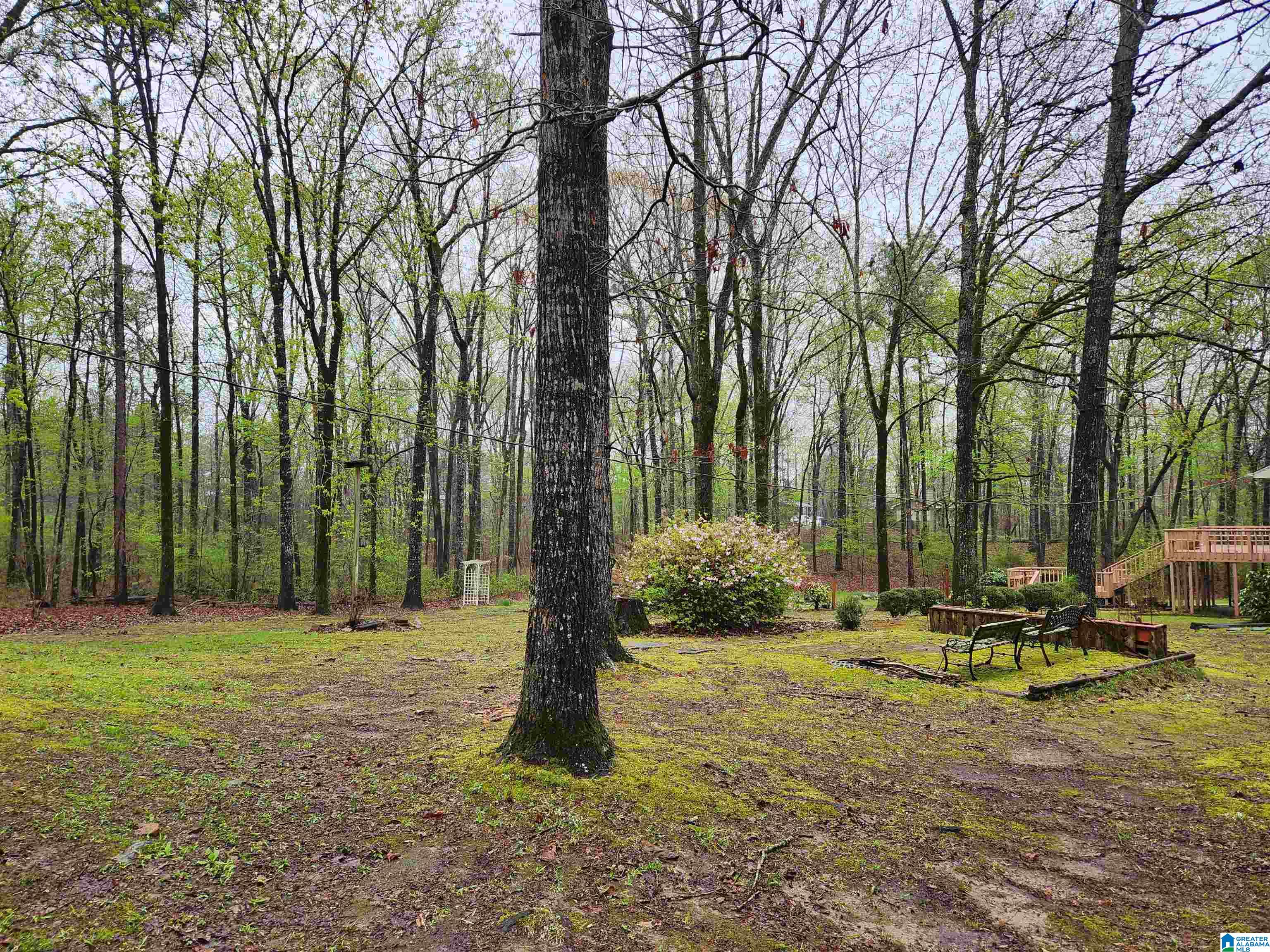 1411 Mission Hills Road Alabaster, AL 35007 - Photo 45 of 50