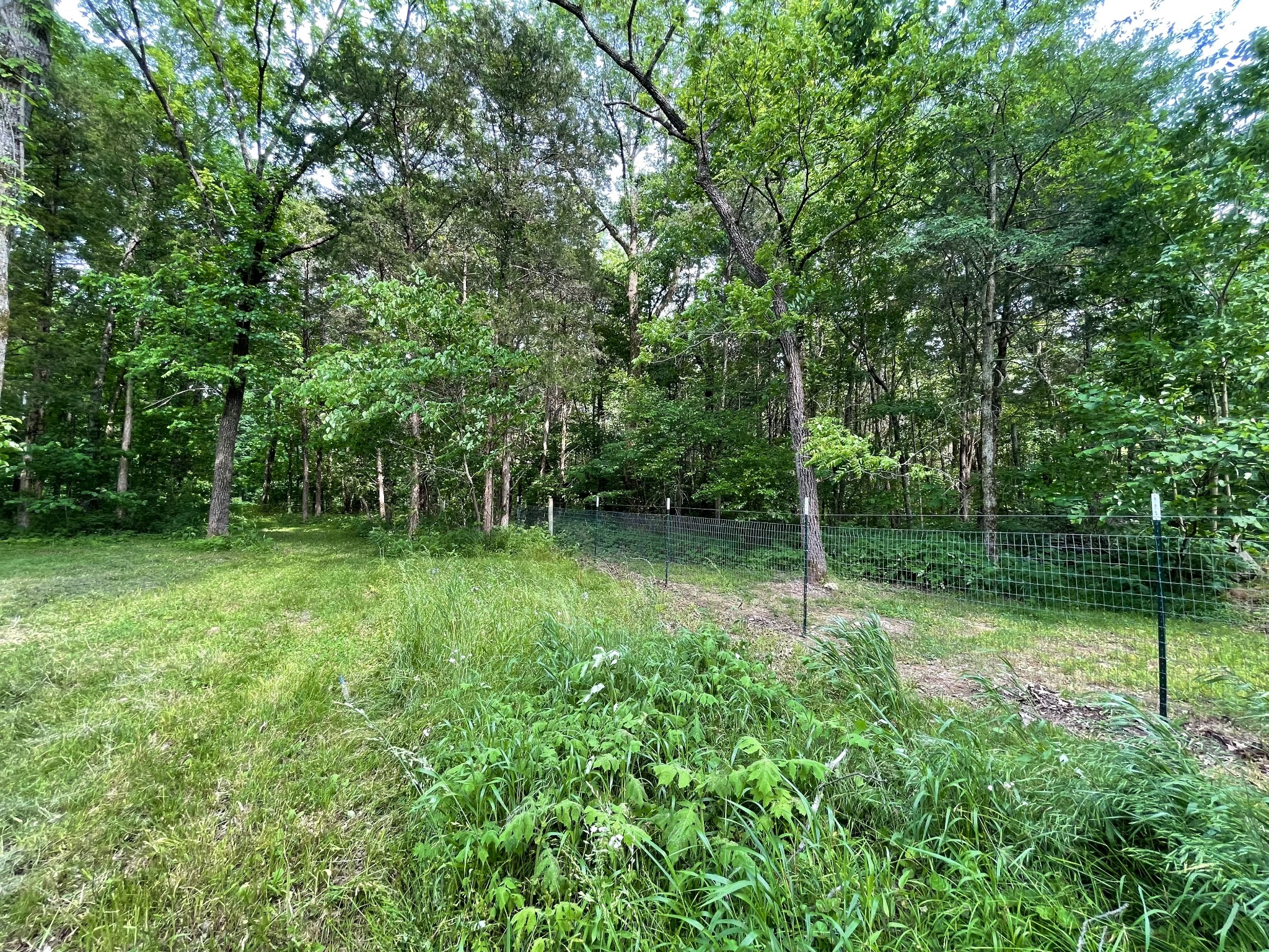 0 North Lamar Road Mount Juliet, TN 37122 - Photo 13 of 18 a backyard of a house with plants and large trees