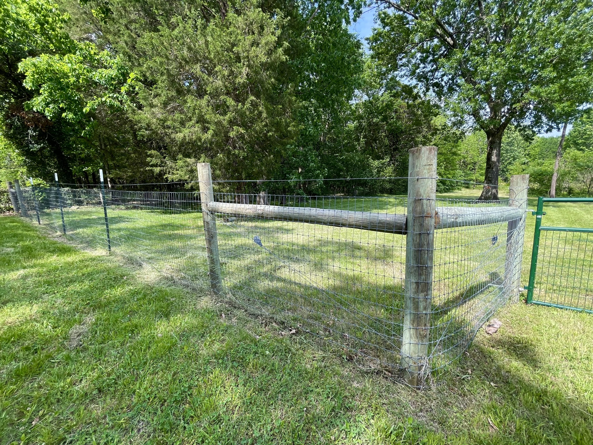 0 North Lamar Road Mount Juliet, TN 37122 - Photo 3 of 18 a view of a backyard with large trees
