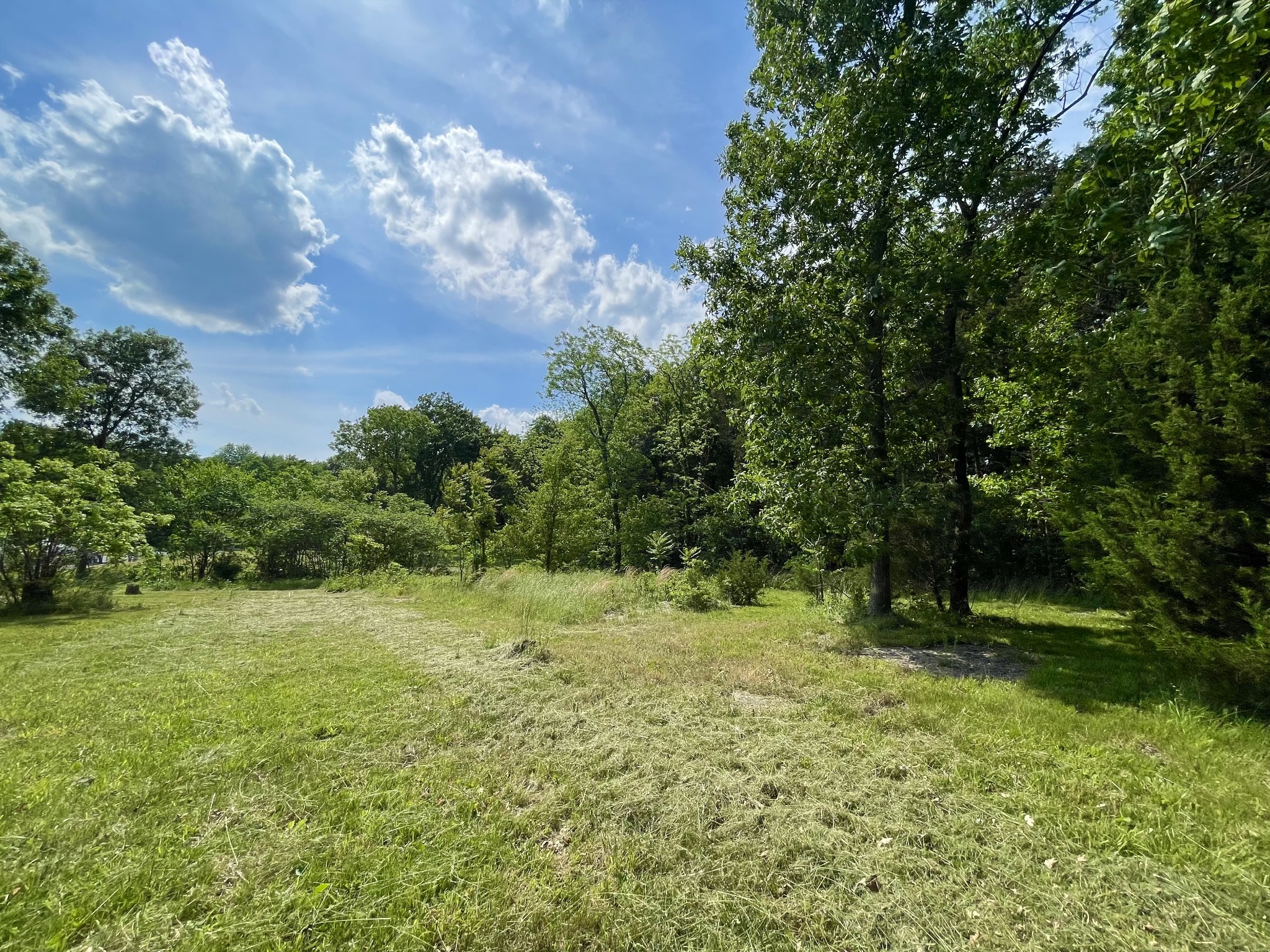 0 North Lamar Road Mount Juliet, TN 37122 - Photo 8 of 18 a big yard with lots of green space and house in the back