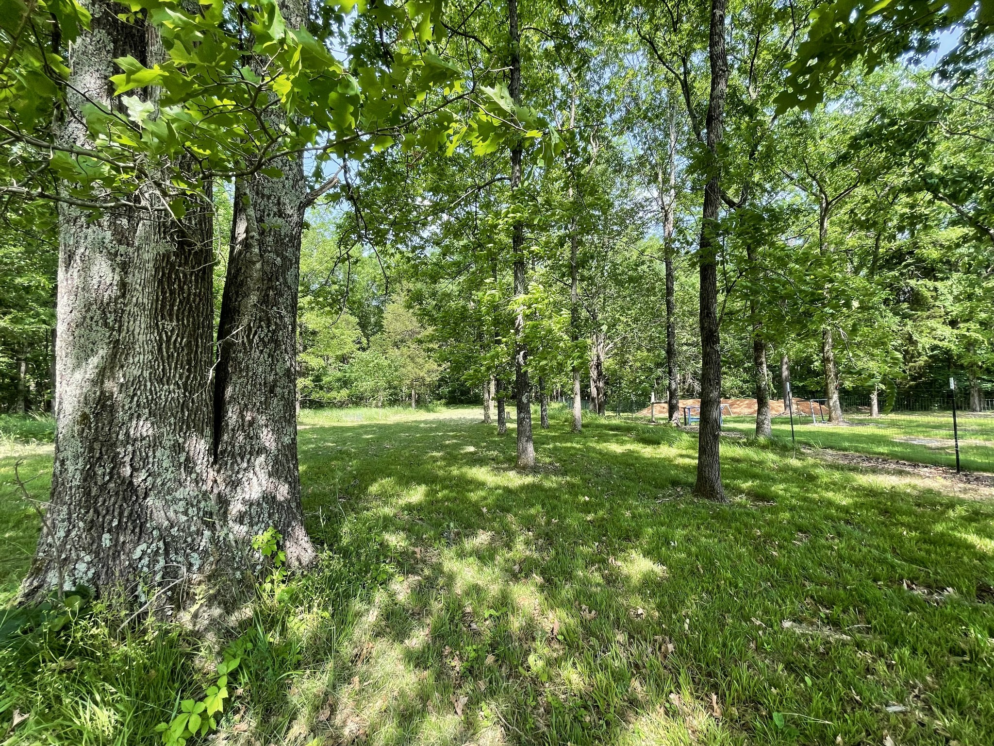 0 North Lamar Road Mount Juliet, TN 37122 - Photo 9 of 18 a view of a trees with a yard