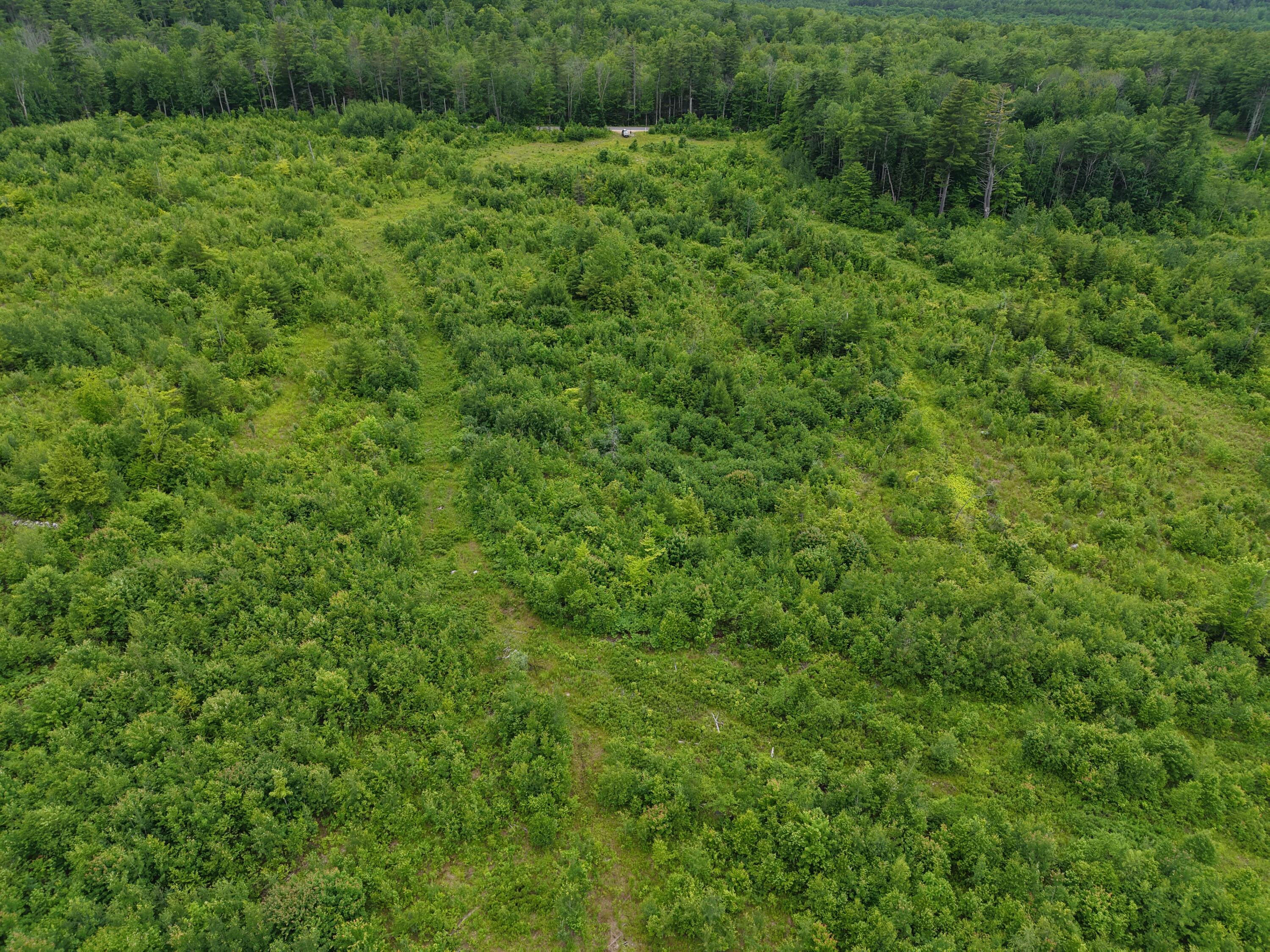 L52 Bridgton Road Harrison, ME 04040 - Photo 13 of 29