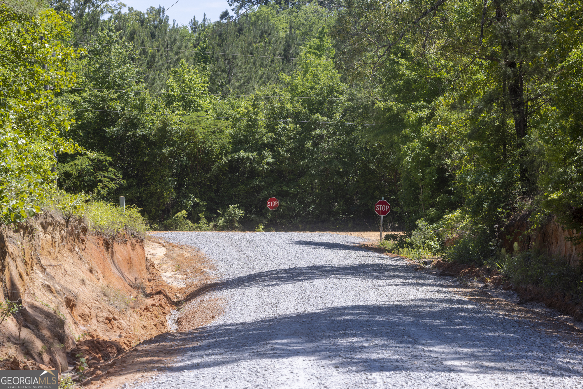 0 Old Griswoldville Road Macon, GA 31217 - Photo 40 of 62