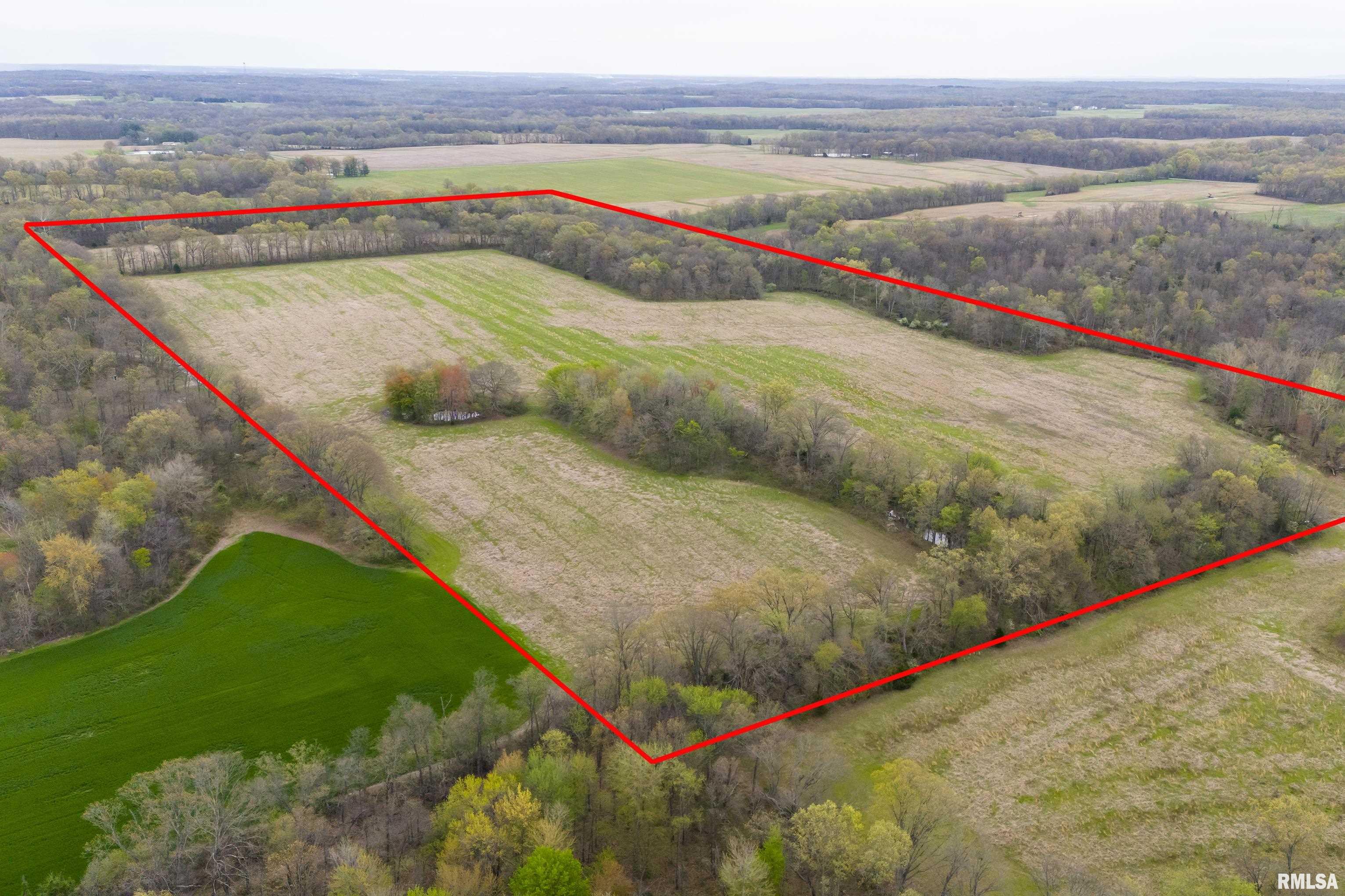 0 North County Road 1000 Road North McLeansboro, IL 62859 - Photo 1 of 11
