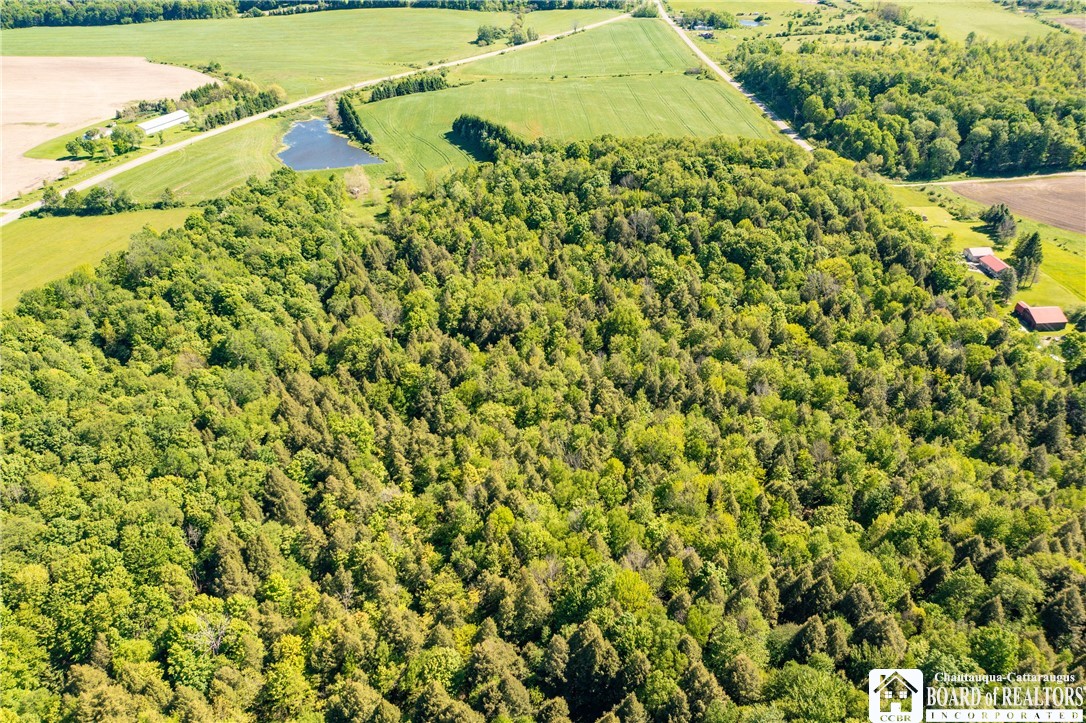 3946 Camp Road Sherman, NY 14781 - Photo 12 of 48