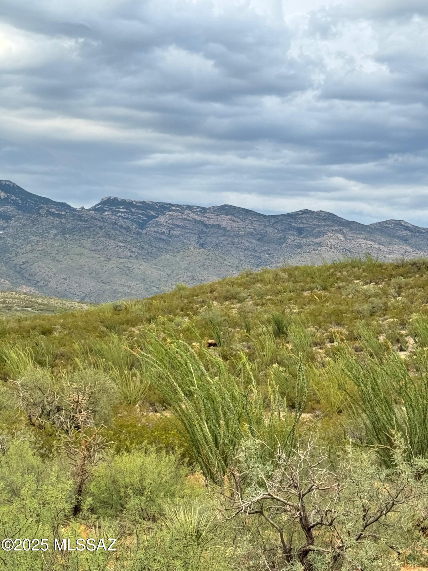 0 Justa Road Vail, AZ 85641 - Photo 19 of 44