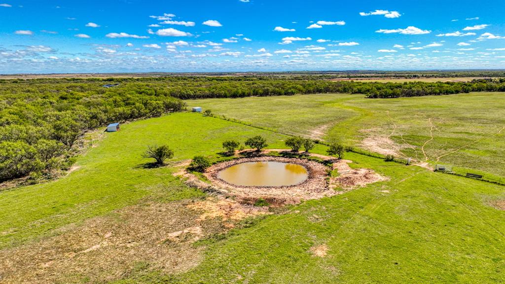 2337 Walsh Road Olney, TX 76374 - Photo 18 of 38 Expansive acreage featuring a natural pond surrounded by mature trees