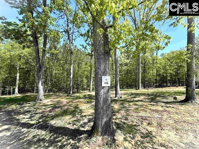41 Shoreview Drive Prosperity, SC 29127 - Photo 3 of 32