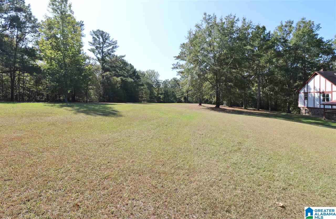 249 Greensport Road Ashville, AL 35953 - Photo 34 of 40
