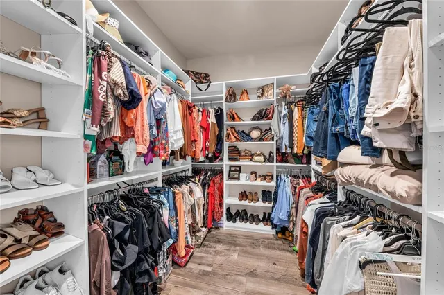 a view of a yard with plants and large trees