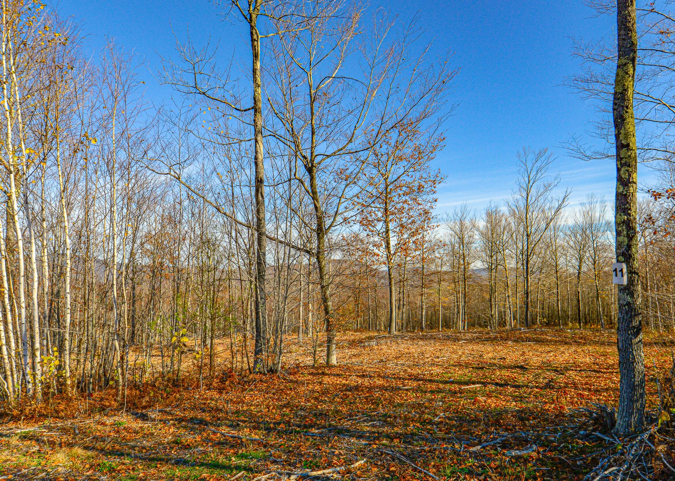 Lot 11-merrill farm lots-51 copy