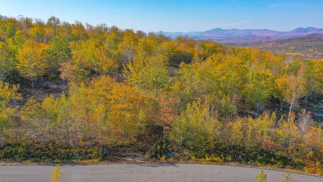 $64,900 | Lot 11 Mine Road, Stoneham, ME 04231
