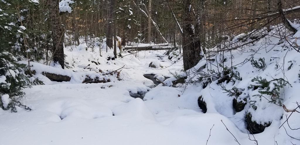 0 Easter Hill Road Roxbury, ME 04275 - Photo 16 of 56 20210107_132028
