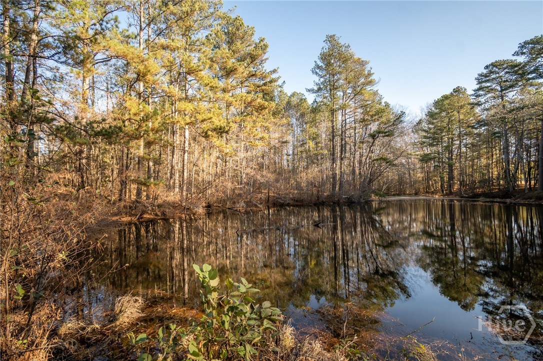 2893 Whitlow Ridge Drive Bishop, GA 30621 - Photo 58 of 58
