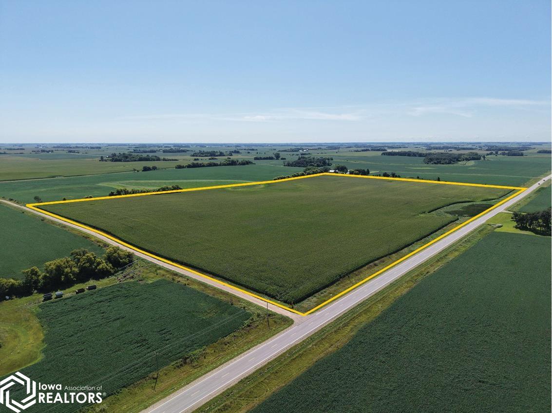 6 Co Road Joice, IA 50446 - Photo 5 of 7 Gallery Image 5
