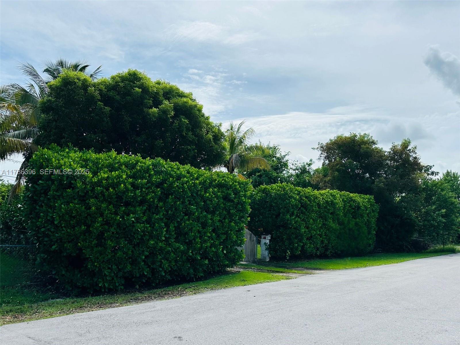 29035 Maine Road Homestead, FL 33033 - Photo 16 of 55 a view of a yard
