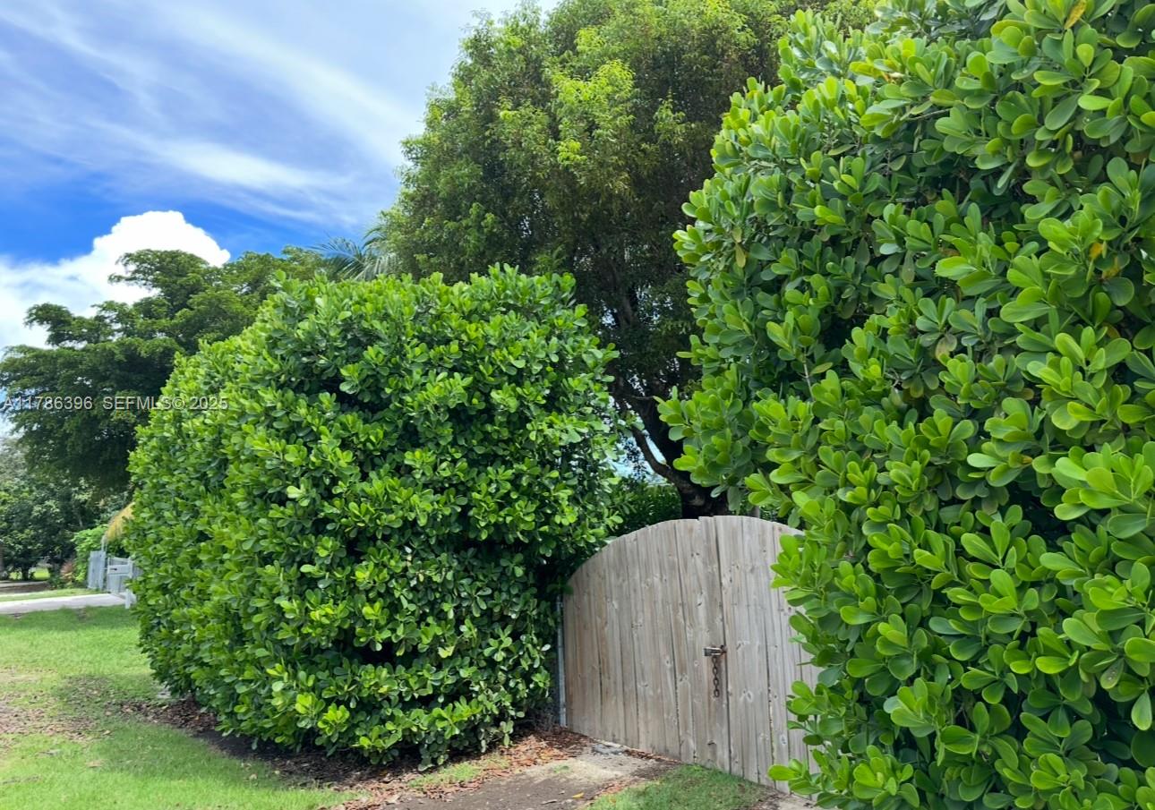 29035 Maine Road Homestead, FL 33033 - Photo 17 of 55 a backyard of a house with lots of green space