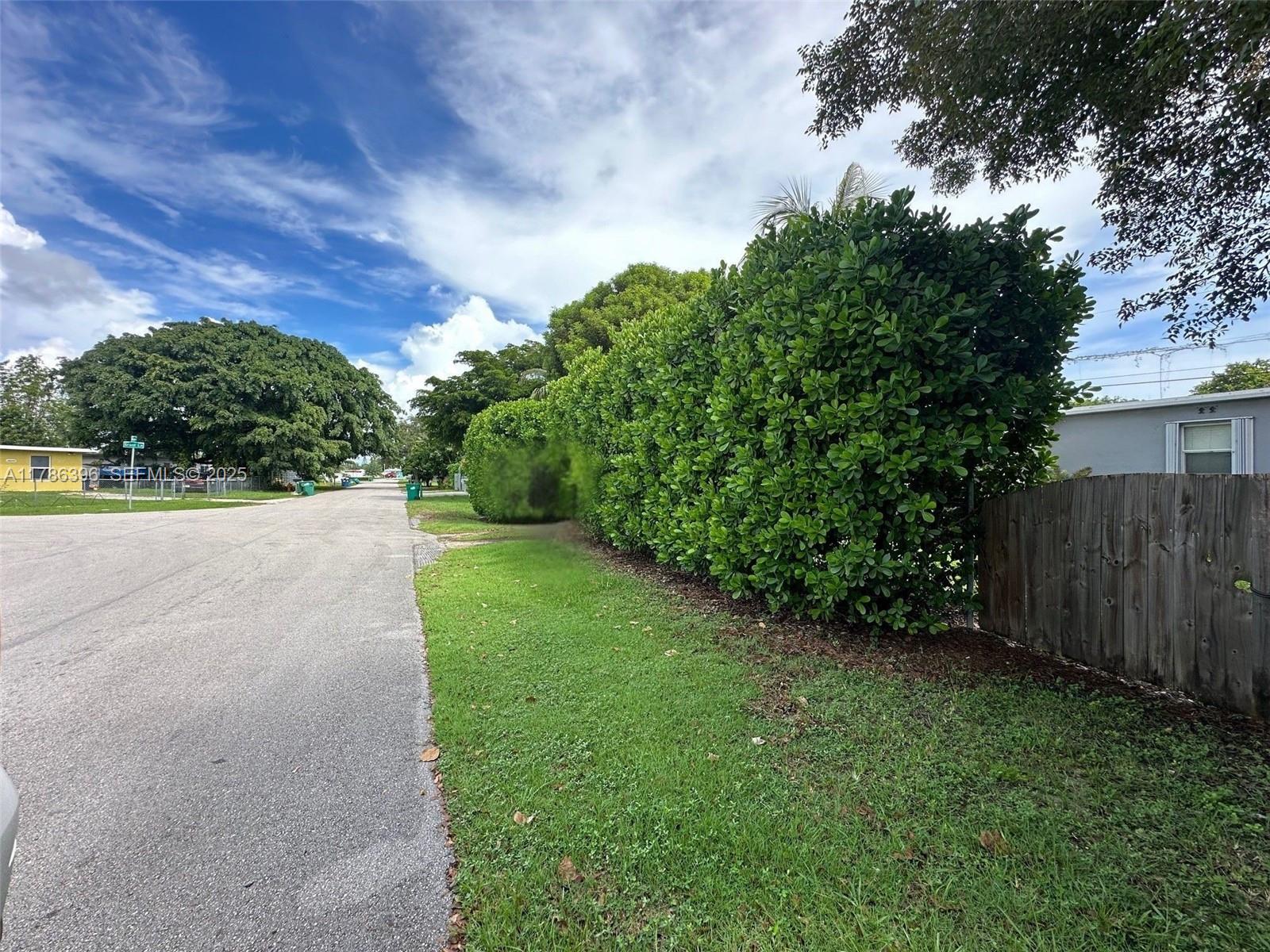 29035 Maine Road Homestead, FL 33033 - Photo 47 of 55 a view of a yard with plants and a large tree