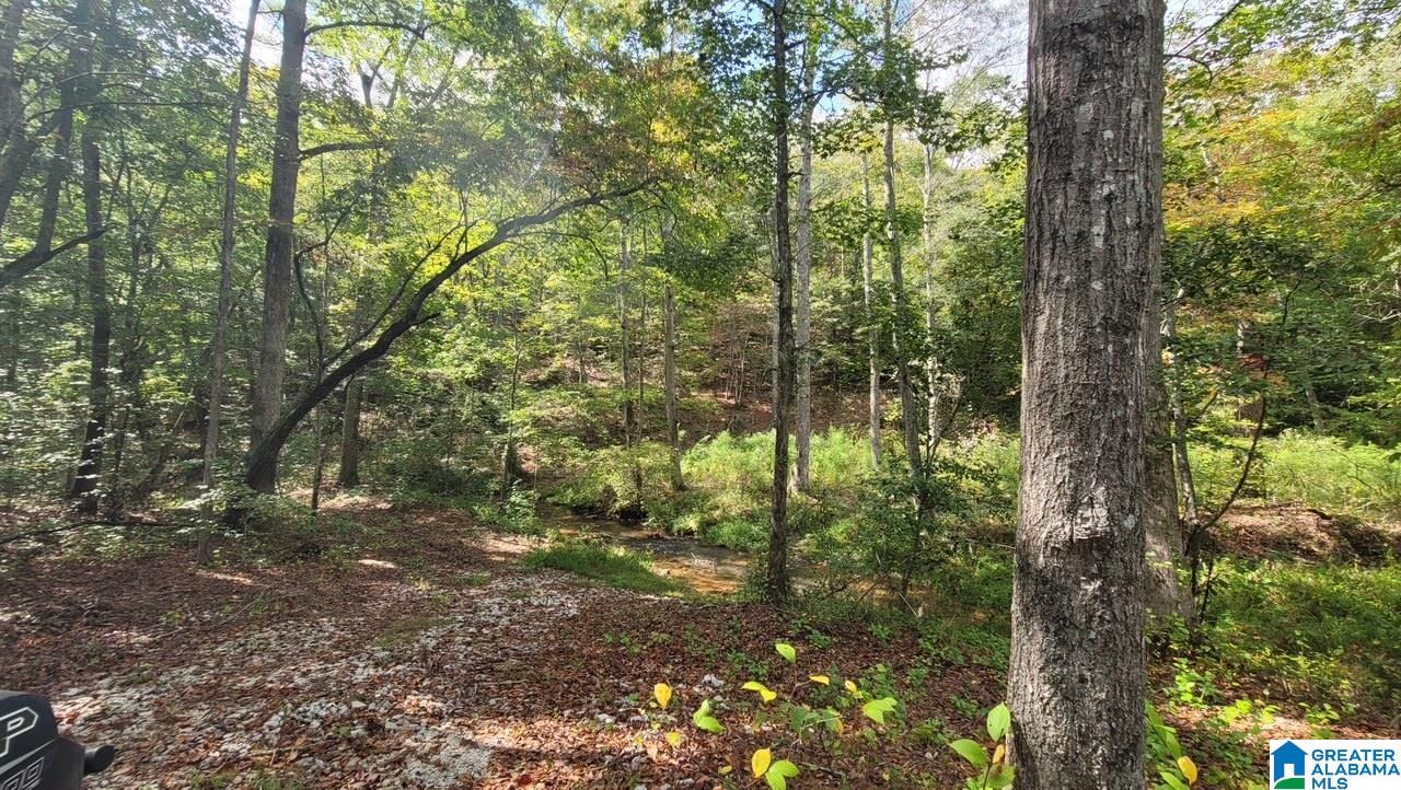 4 County Road Wedowee, AL 36278 - Photo 4 of 16