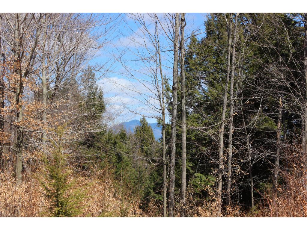 262044 Trebo Road Chester, VT 05143 - Photo 2 of 5