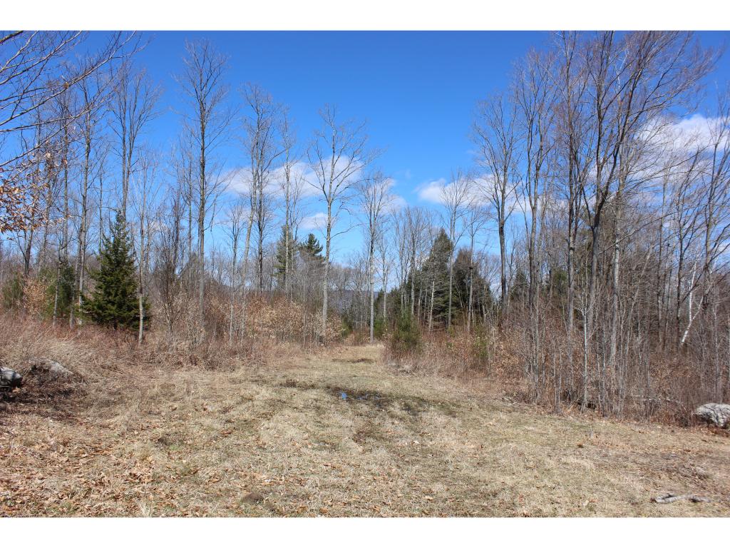 262044 Trebo Road Chester, VT 05143 - Photo 3 of 5