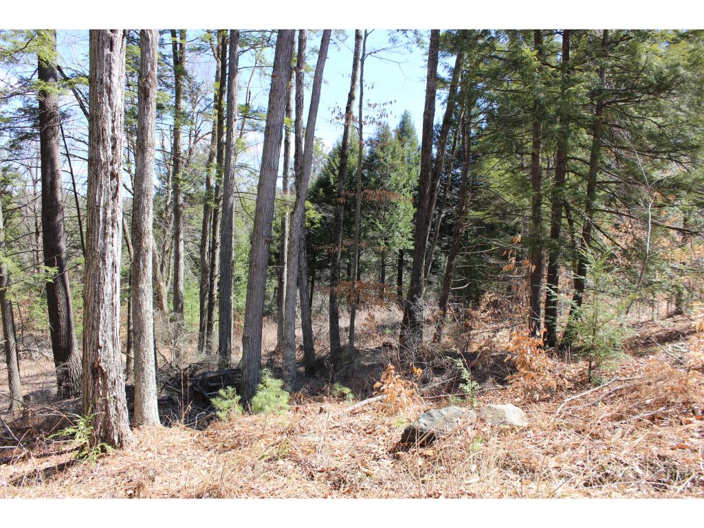 262044 Trebo Road Chester, VT 05143 - Photo 5 of 5