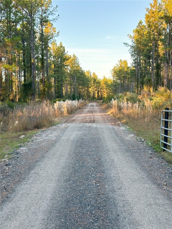 0 Old Post Road Waverly, GA 31565 - Photo 11 of 39