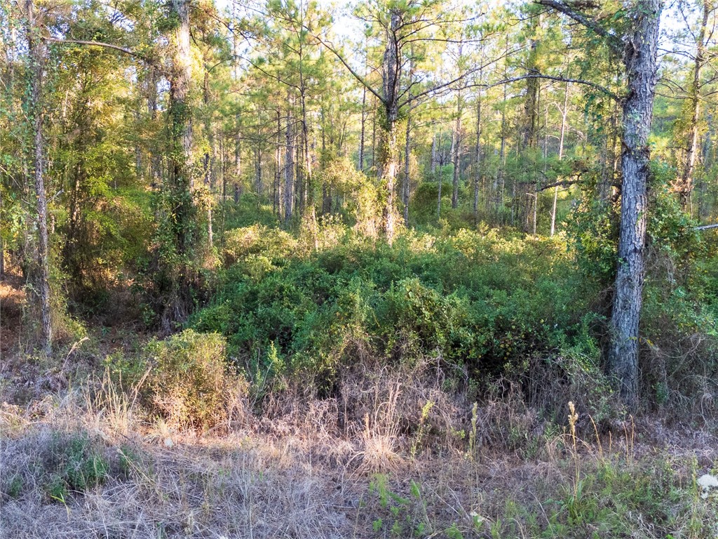 0 Old Post Road Waverly, GA 31565 - Photo 15 of 39