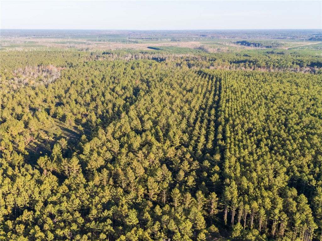 0 Old Post Road Waverly, GA 31565 - Photo 23 of 39