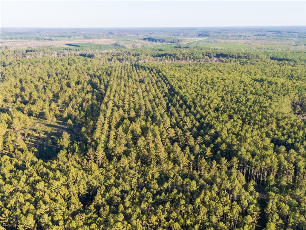 0 Old Post Road Waverly, GA 31565 - Photo 25 of 39