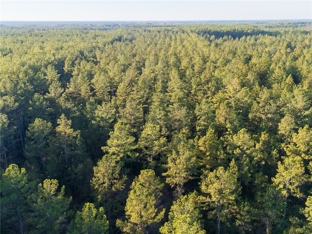 0 Old Post Road Waverly, GA 31565 - Photo 33 of 39