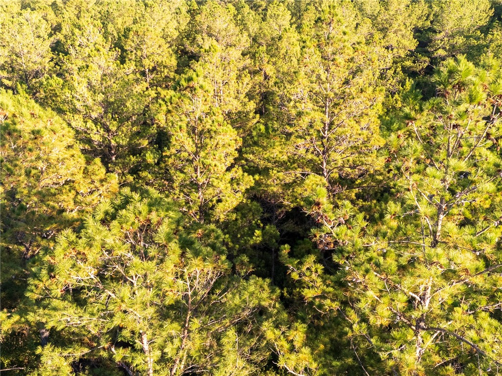 0 Old Post Road Waverly, GA 31565 - Photo 39 of 39