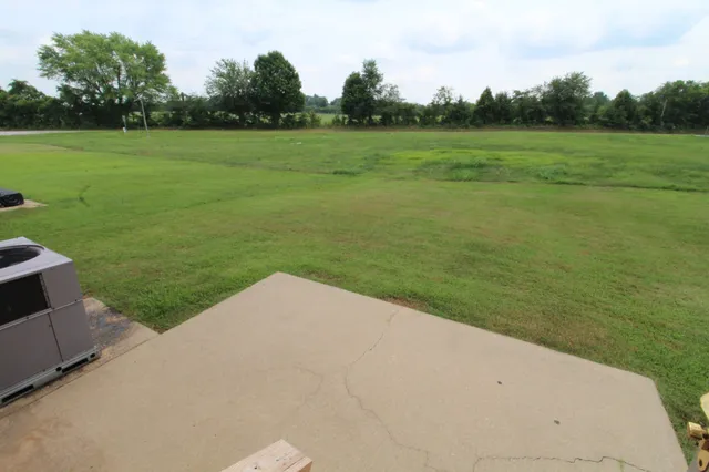 a view of a grassy field with grass