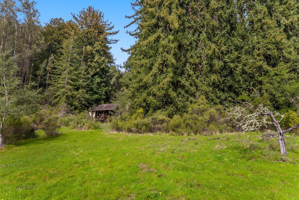 621 Hidden Canyon Watsonville, CA 95076 - Photo 47 of 55 a view of yard with green space