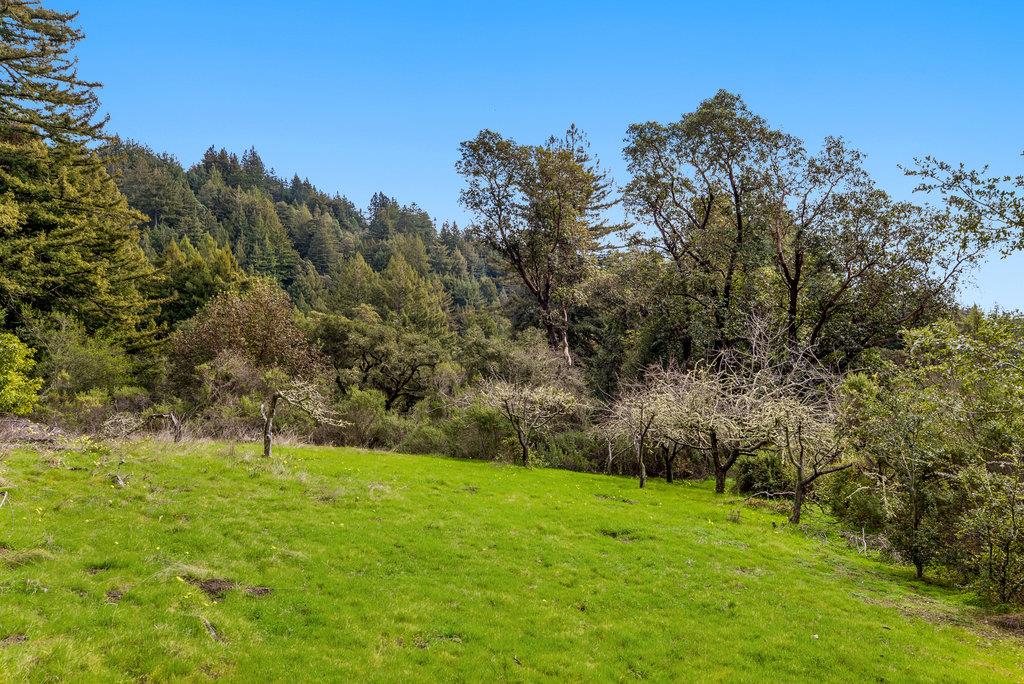 621 Hidden Canyon Watsonville, CA 95076 - Photo 48 of 55 a view of green field with trees