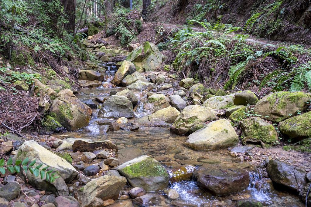 621 Hidden Canyon Watsonville, CA 95076 - Photo 49 of 55 a view of a bunch of flowers and trees