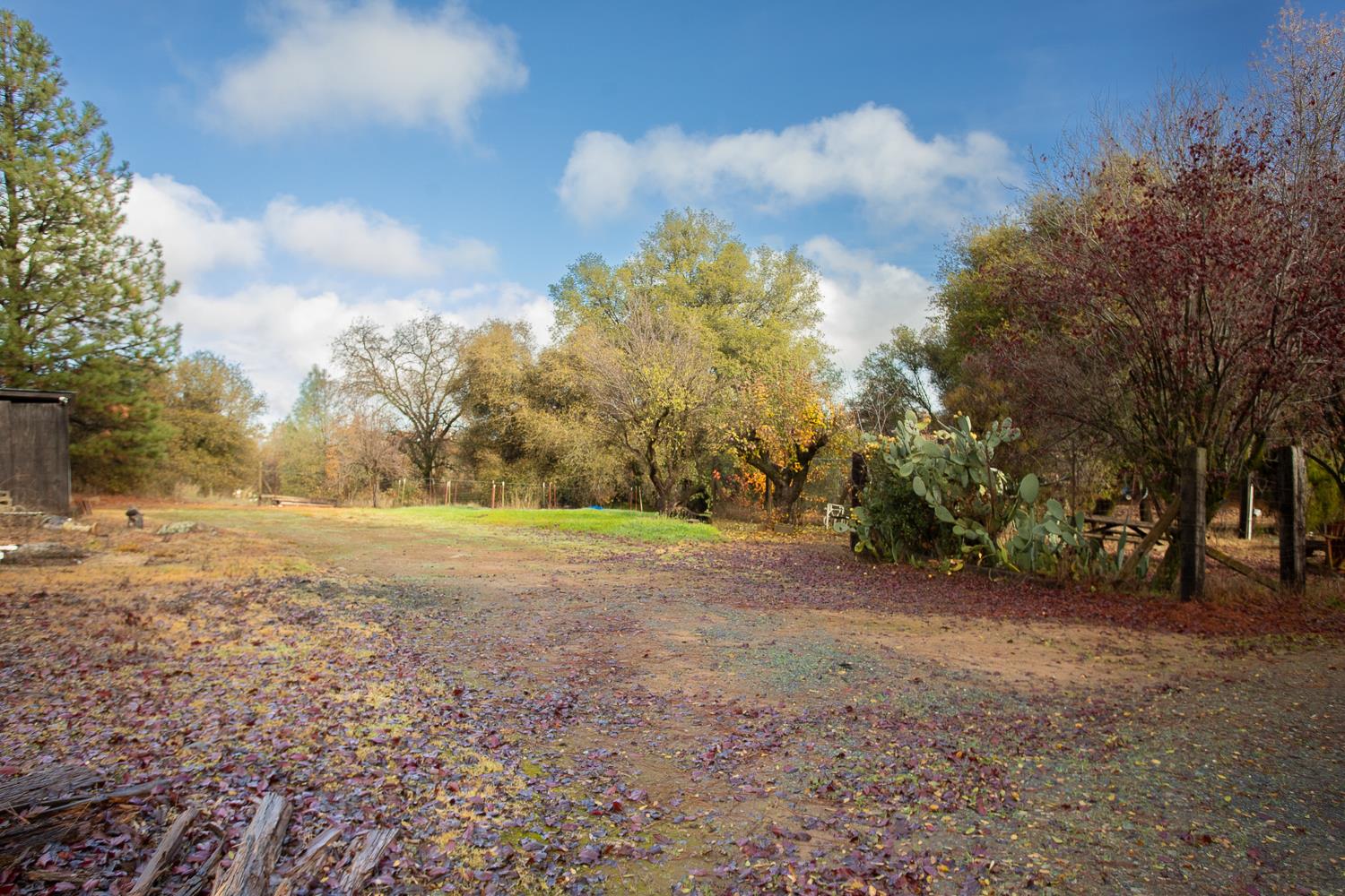 10988 Pleasant Valley Road Penn Valley, CA 95946 - Photo 23 of 90