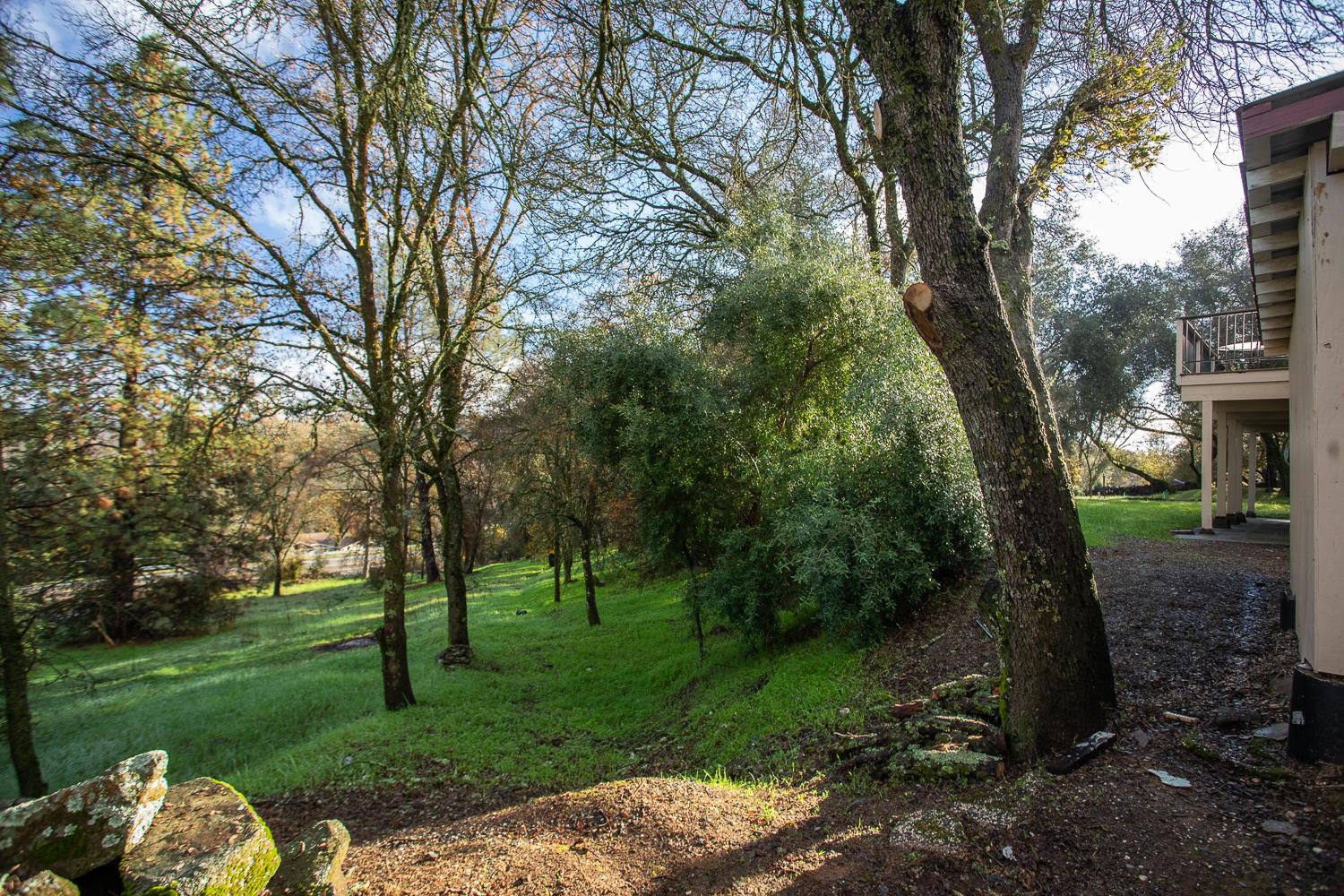 10988 Pleasant Valley Road Penn Valley, CA 95946 - Photo 34 of 90