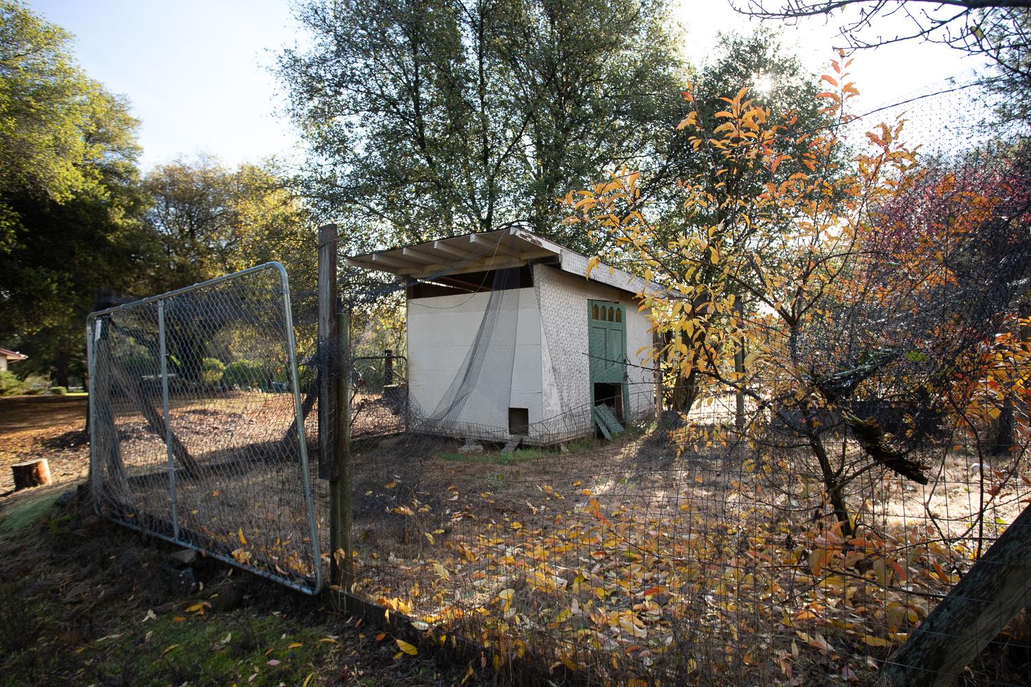 10988 Pleasant Valley Road Penn Valley, CA 95946 - Photo 41 of 90