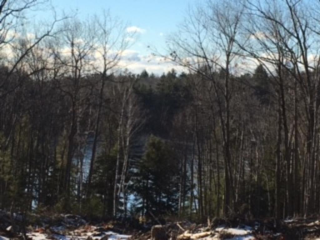 180 Old Ashburnham Road Rindge, NH 03461 - Photo 1 of 23