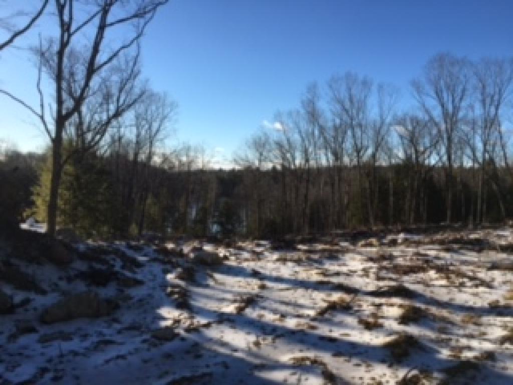 180 Old Ashburnham Road Rindge, NH 03461 - Photo 2 of 23