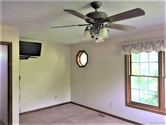 4306 Old Mill Road Pinckney, MI 48169 - Photo 20 of 25